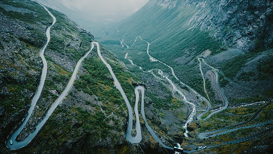 Image by Anthony Tan