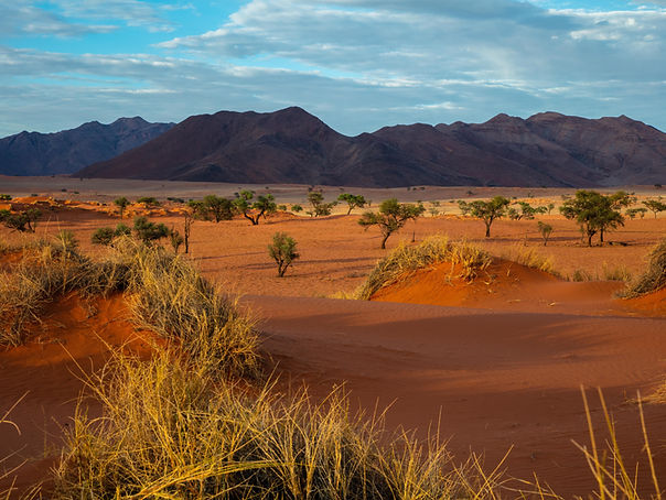 voyage namibie botswana