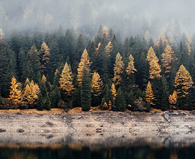 Image de Samuel Ferrara