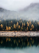 Image by Samuel Ferrara