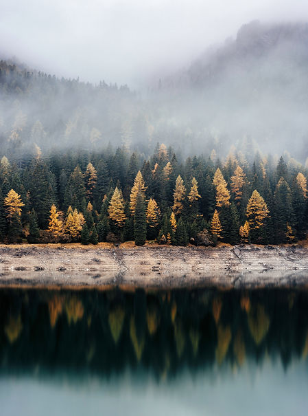 Image by Samuel Ferrara