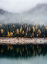 Image by Sam Ferrara