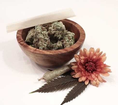 Image by Botanical Rising