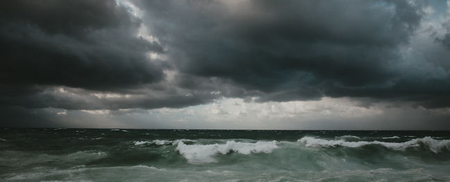 Image by M.T ElGassier