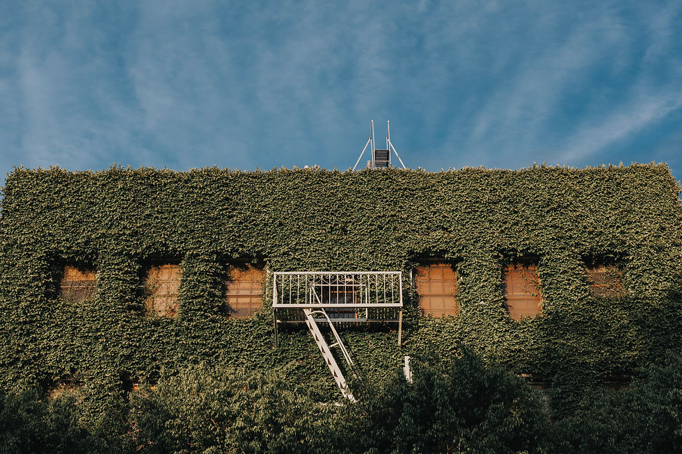 Image by MARK ADRIANE