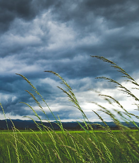 Image by Ivan Vranić