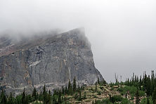 Image by Mike Petrucci
