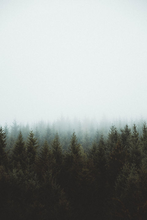 Image by Clément M.