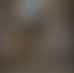 ESTUDIANTES DE LA ESCUELA PRIMARIA CREAN UN EVENTO ATERRADOR EN SU ESCUELA POR EL CORONAVIRUS  