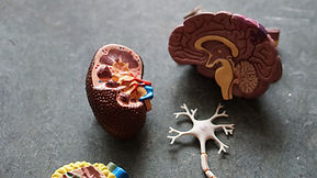 April 16 • Piece of Mind