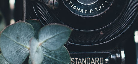 Image de Annie Spratt