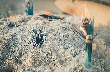 Image by Francesco Gallarotti