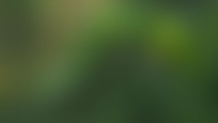 Evolving Self & Society