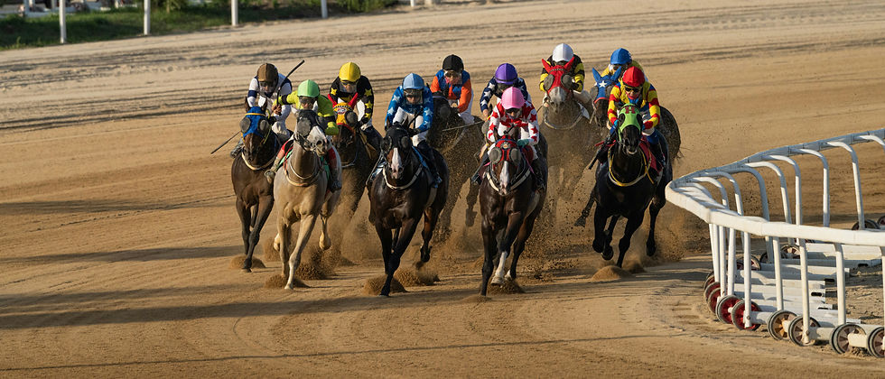 Breeders Cup Classic: Analysis of a futures betting market