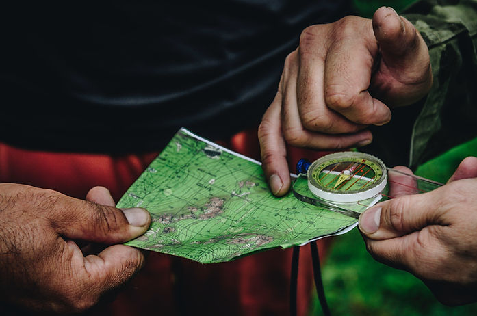 Image by Daniil Silantev