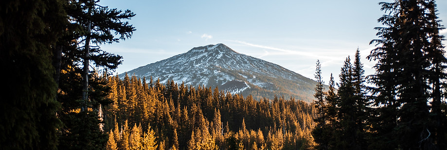 Mt. Bachelor, surrounded by a Central Oregon pine forest.