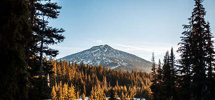 A view of Mt. Bachelor in Central Oregon from the pine forest at it's base.