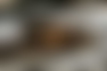 Lindwyrm, Mare & Pig Demons: German Myth