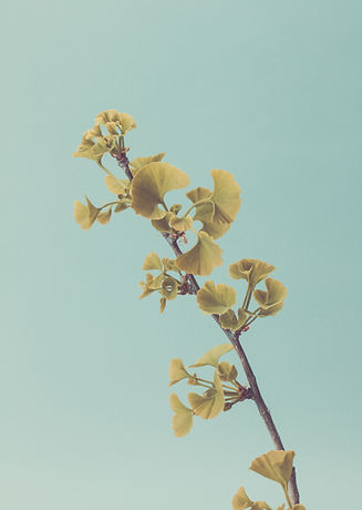 Image by Kendal