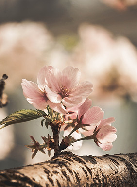 Image by Zane Lee