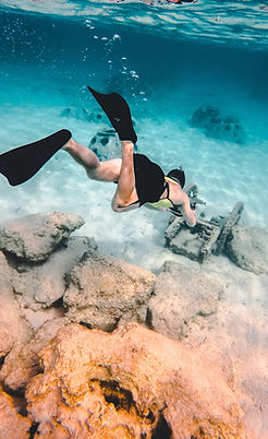 Image by Jakob Owens