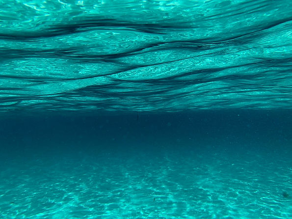 Image by Fernando Jorge