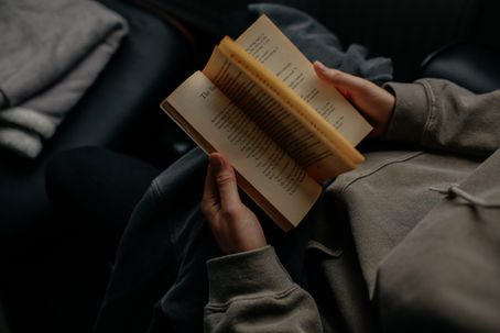 Paperback Mentors