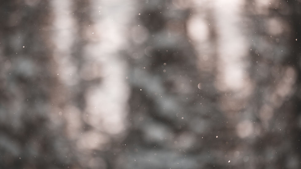 Image by Jonathan Knepper