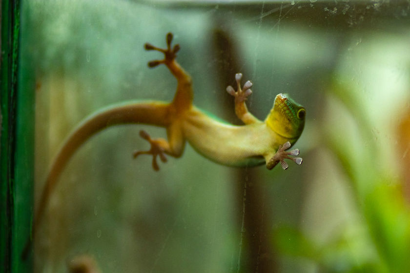 Image by Michaela Kliková