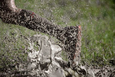 Waterproof Running Shoes: The Thing That Should Not Be