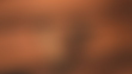 The lifecycle of the whistleblower