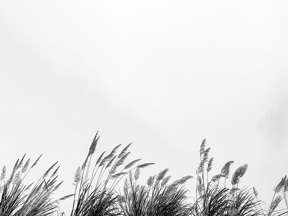 Image by Bao Menglong