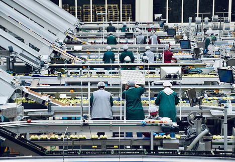 Image by Arno Senoner