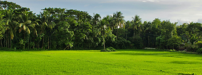 Image by Md. Nafish Sadik