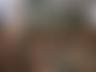 The Life We Choose: Embracing Your Own Path