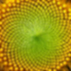 ree