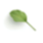 Image by Mockup Graphics