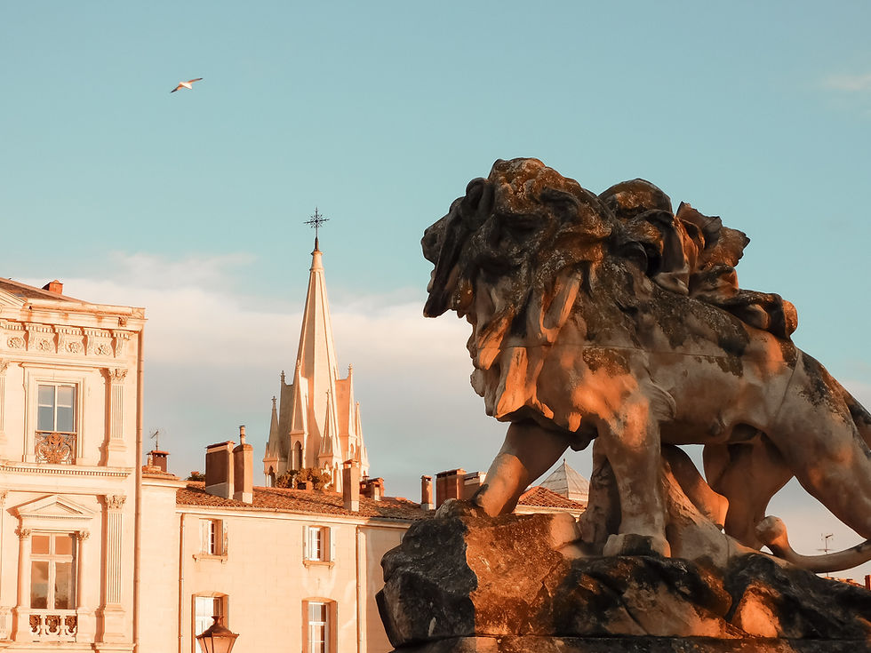Que fait un webdesigner freelance à Montpellier ?