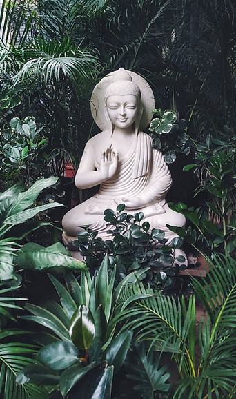 Image by Gautham Arcot