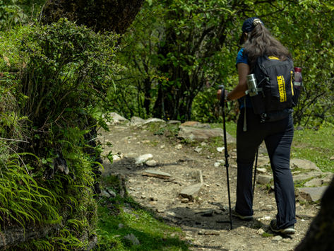 Trekking Colombia
