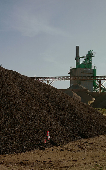 Image by Alex Plesovskich