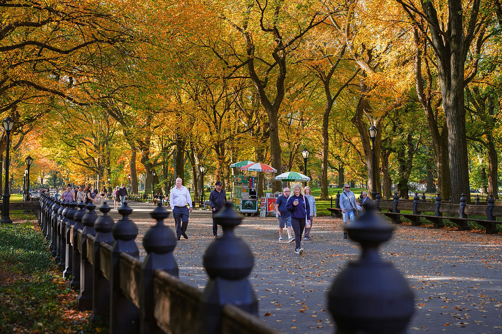 People stroll along a picturesque walkway in Central Park, surrounded by vibrant autumn foliage and a lively atmosphere.