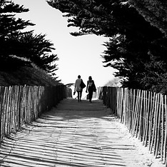 Image by Ben Allan
