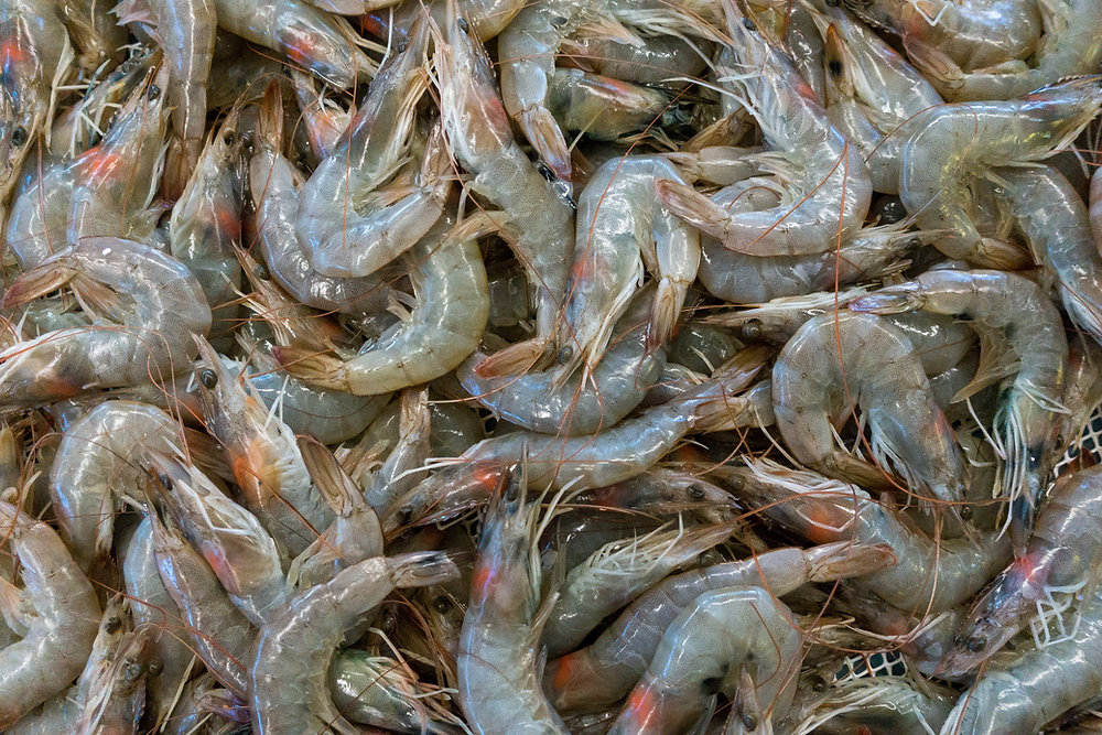 🍤 Tout savoir sur les gambas : origine, culture, marinades, cuissons, recettes et terroir du Gers
