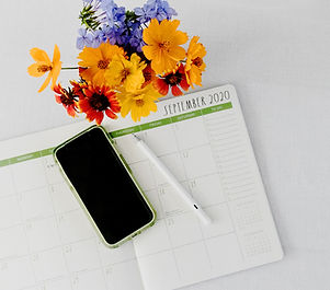 Image by Debby Hudson