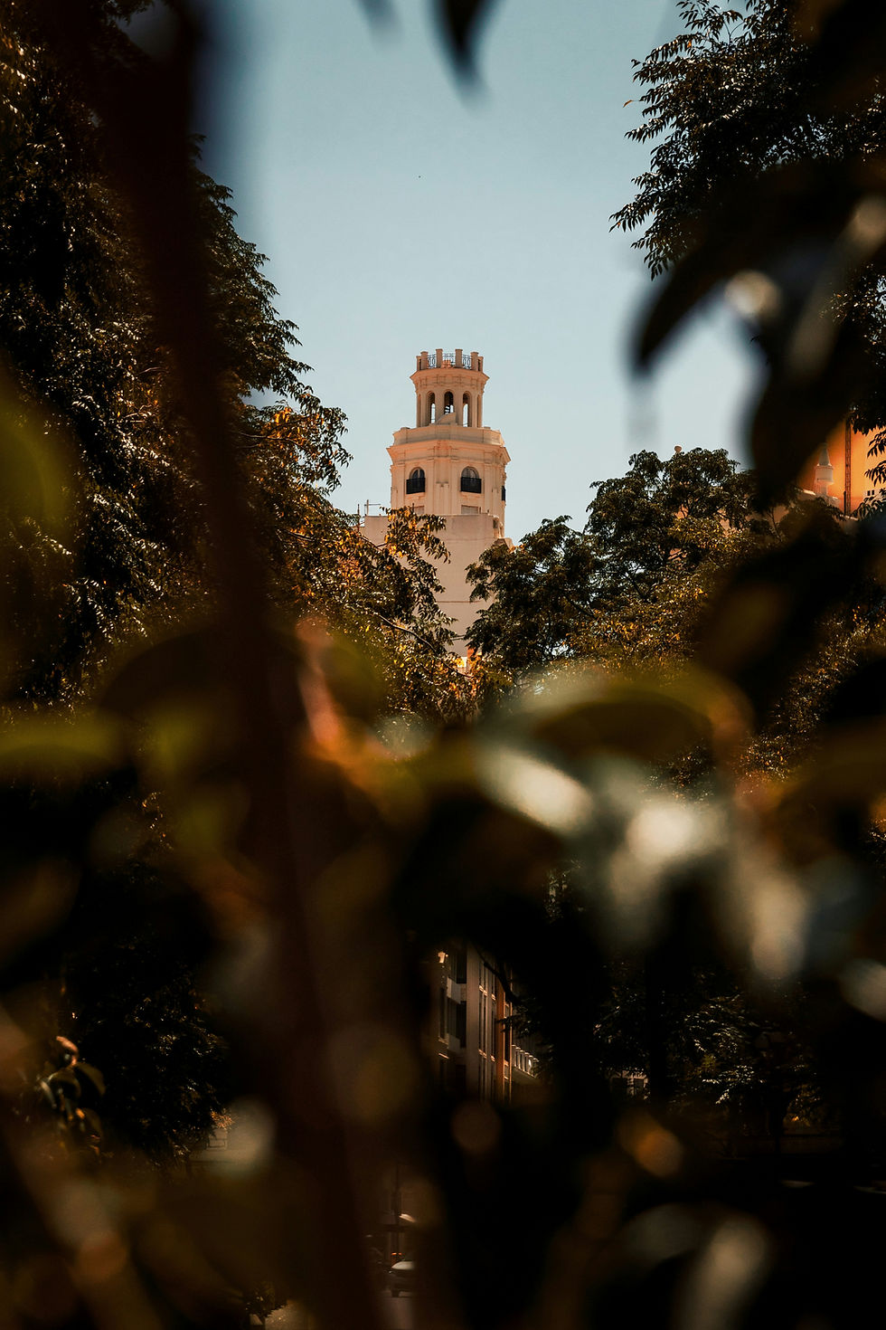 Valencia Slow Living: los microbarrios de lujo que los compradores empiezan a descubrir