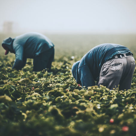 2040年に今の4倍の移民が必要になる「新・日本の論点：Japan Today and How It Got This Way」第7回 10/10（祝・月）20時＠オンライン