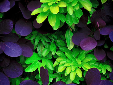 Changing Your Mind at Home