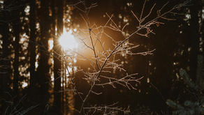 Shadow Maribrengaël -カオスを人生に引き込まないために-