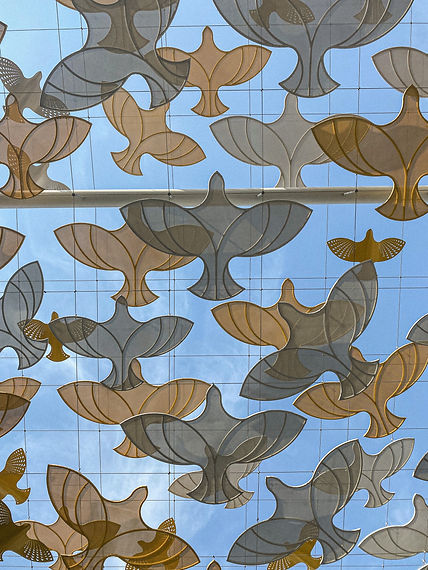 Image by Nataliia Kvitovska